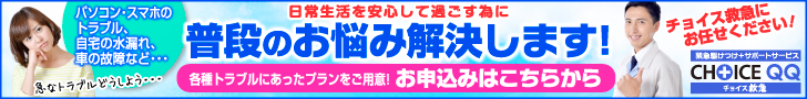 チョイスＱＱの詳細サービス